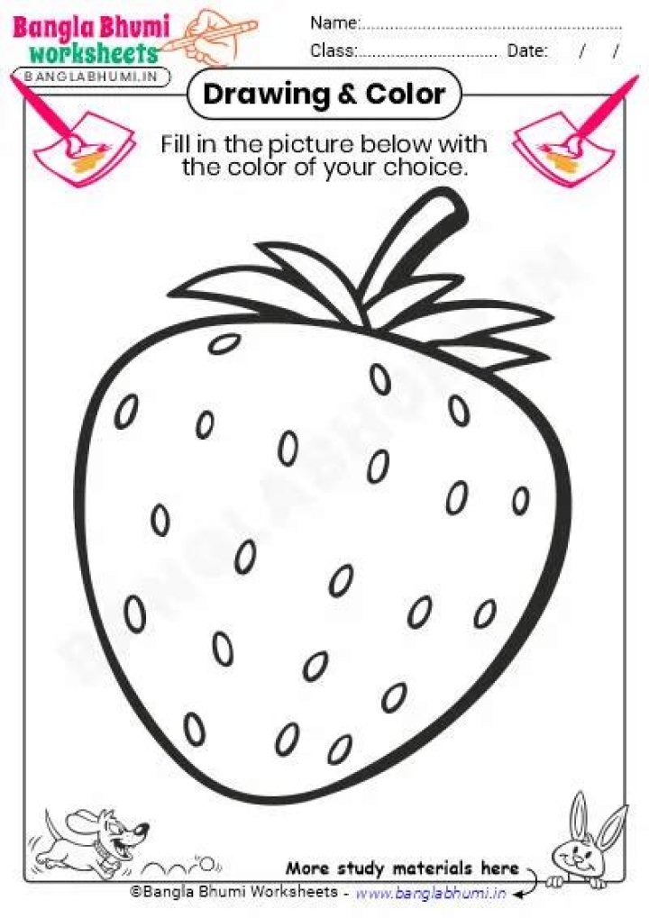 Download Free Drawing Worksheets PDF for All Skill Levels