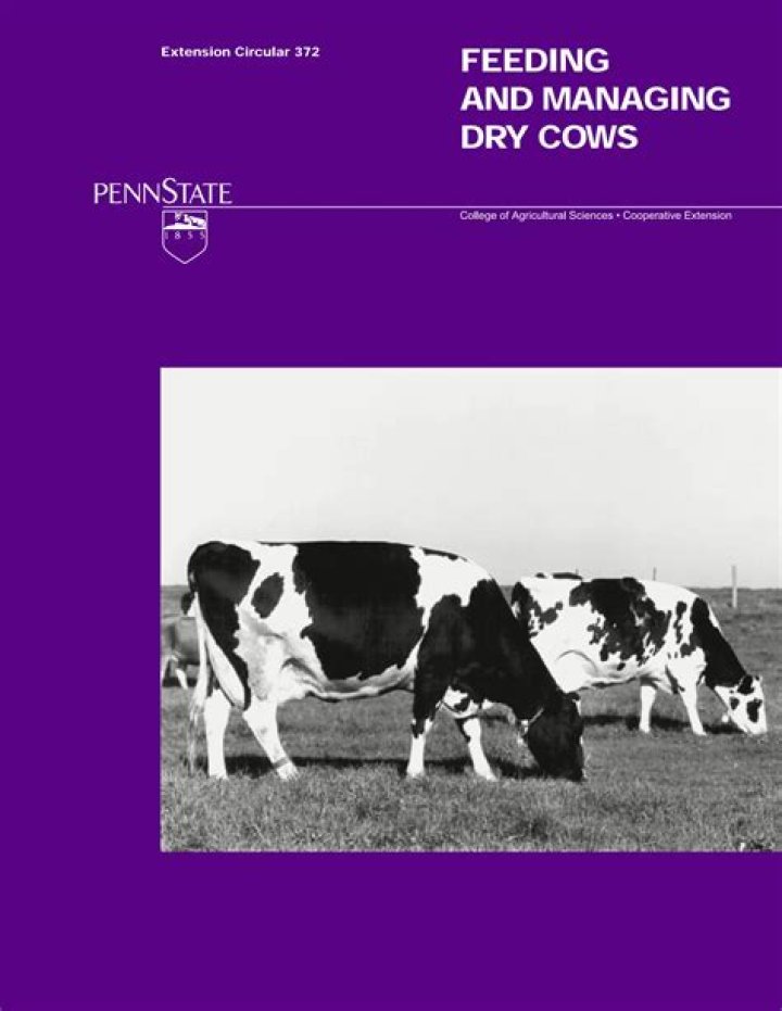Dry Cow Management PDF: Essential Guide for Healthy Cattle