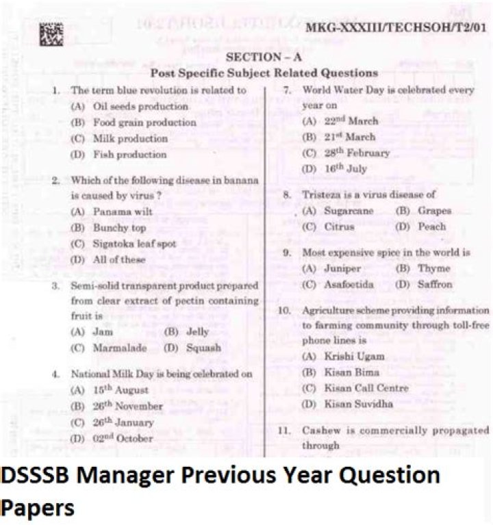DSSSB Previous Year Question Paper PDF – Solve Past Exam Papers