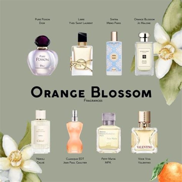 Dua Fragrances Clone List PDF: Full Comparison & Review