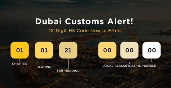 Dubai HS Code List PDF – Complete Guide for Import/Export