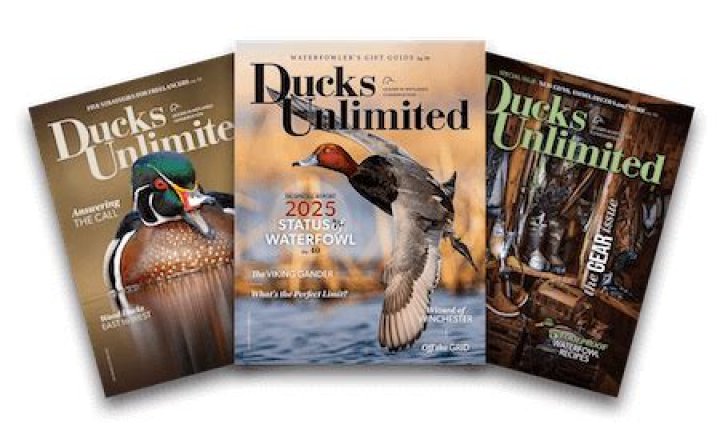 Ducks Unlimited Gun of the Year 2024: Official List PDF