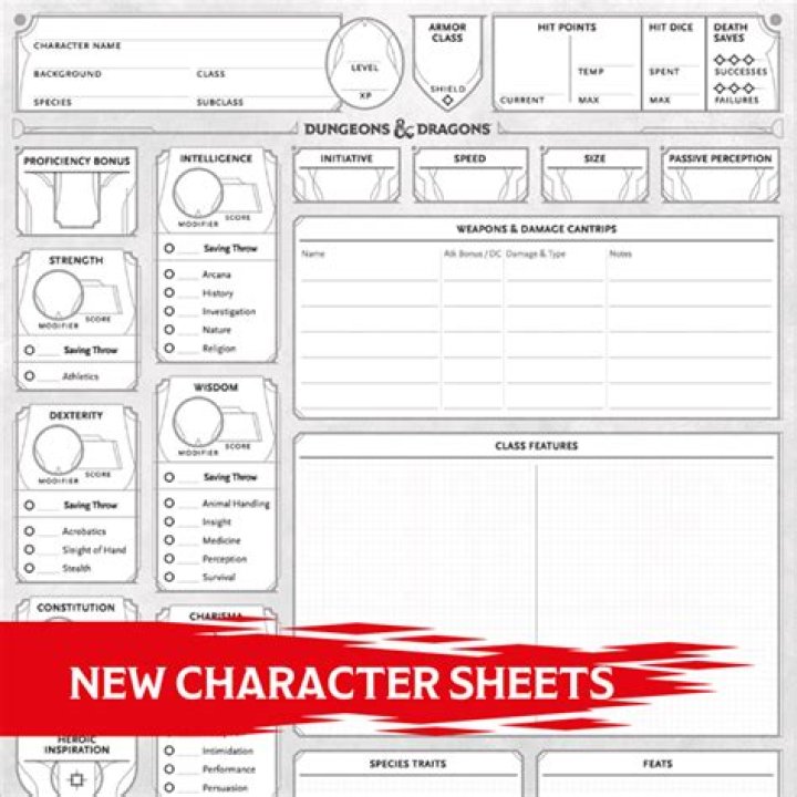 Editable Dungeons and Dragons Character Sheet PDF for PDF Editors