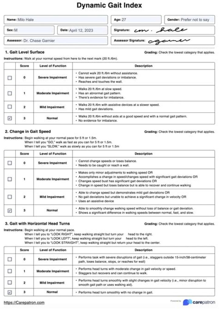 Dynamic Gait Index Test PDF: Accurate Assessment of Gait Function