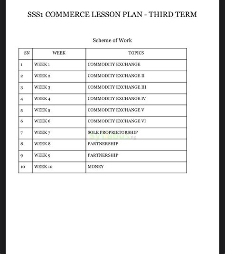 E-Commerce Lesson Plan PDF for Teachers