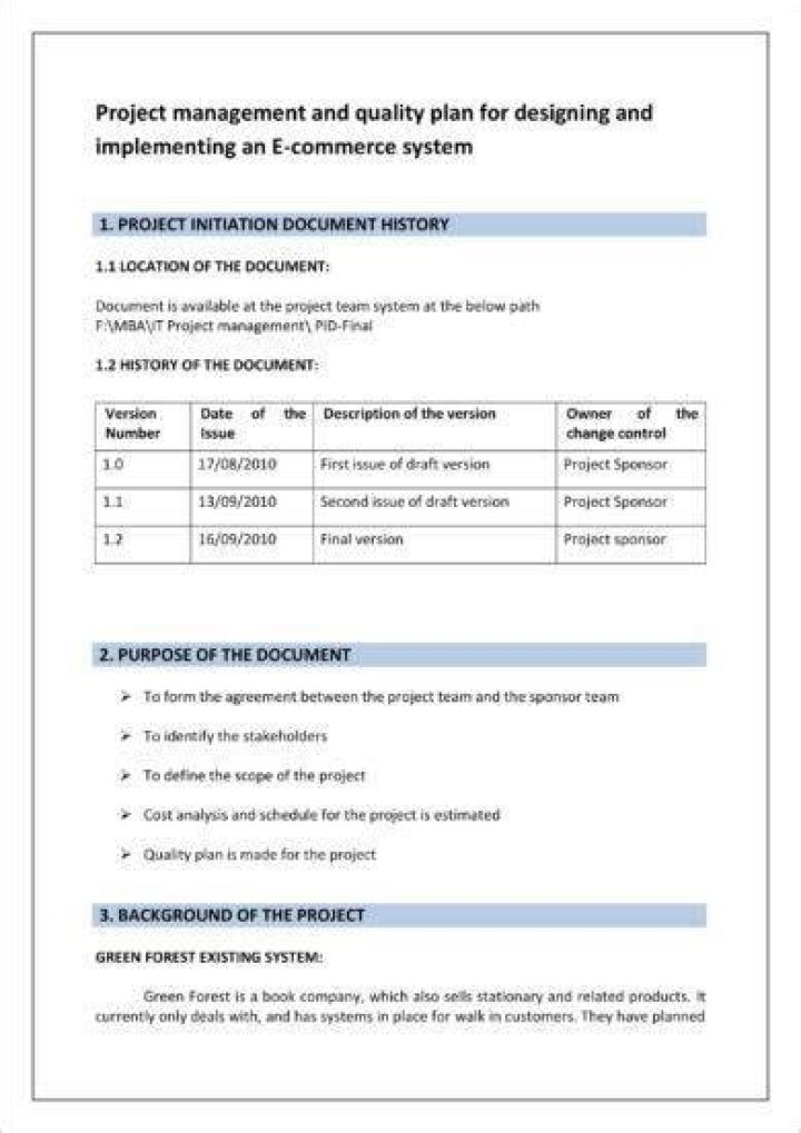Complete E-Commerce Project Plan PDF – Step-by-Step Guide
