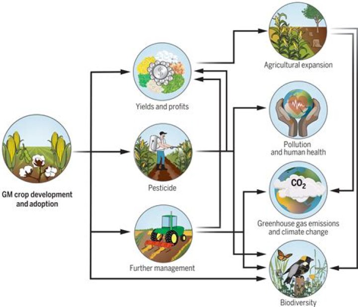 Ecological Management of Crop Environment: Expert PDF Guide