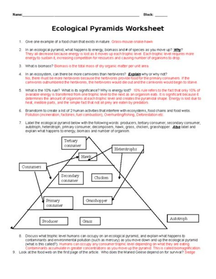 Ecological Pyramids PDF Answer Key: Complete Guide & Solutions