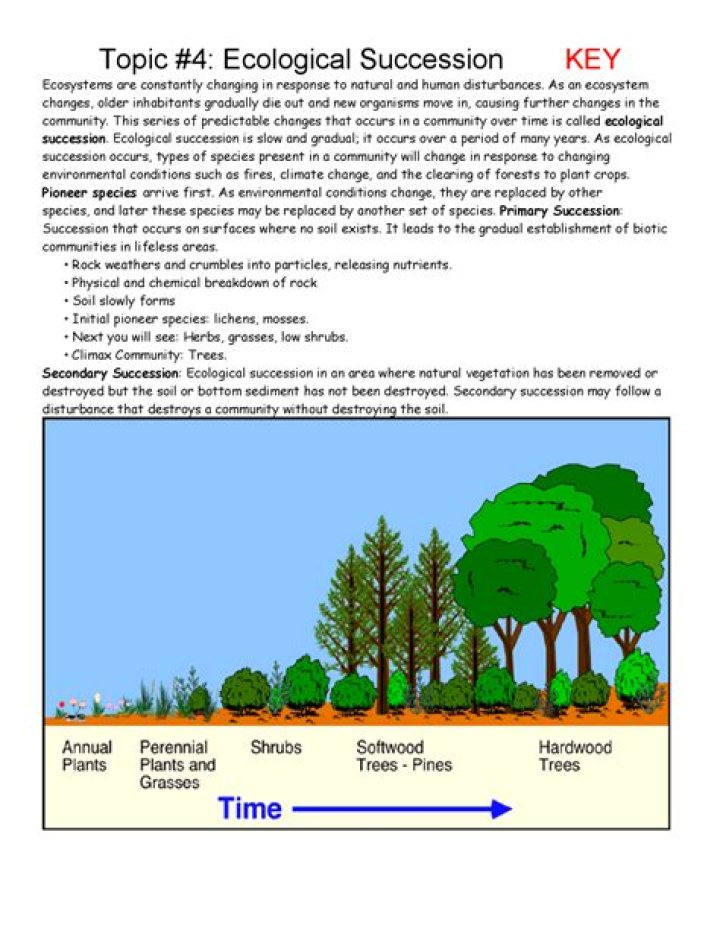 Ecological Succession Answer Key PDF – Complete Study Guide