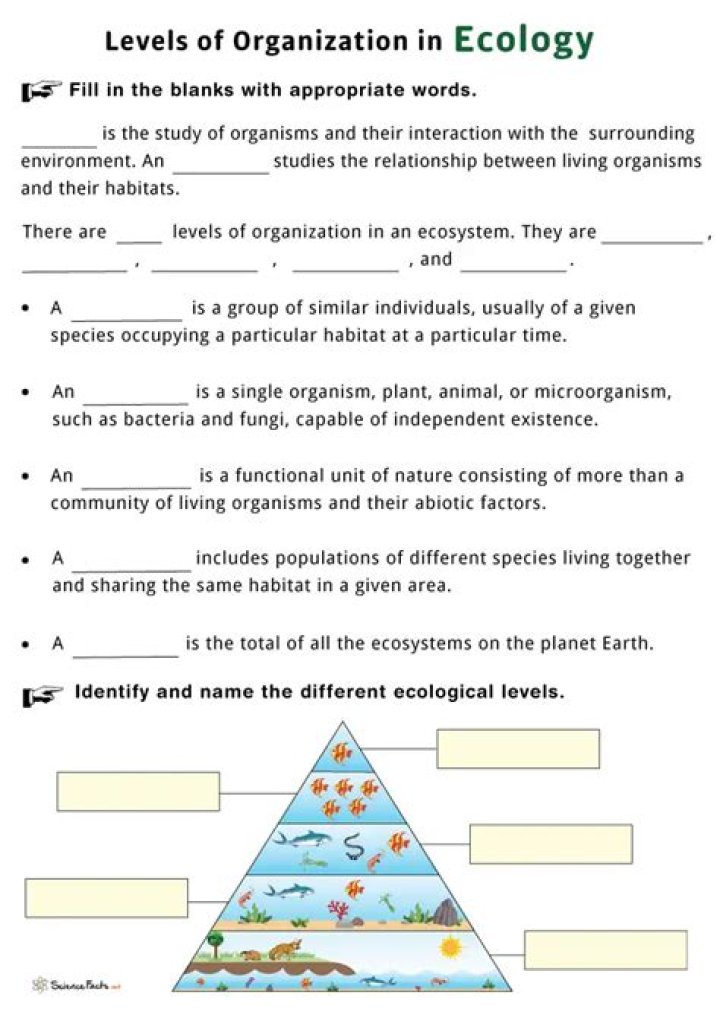 Free Ecology Worksheets for High School PDF – Download Now