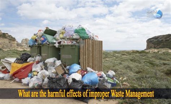 Economic Impact of Waste Management: Key Insights from the PDF