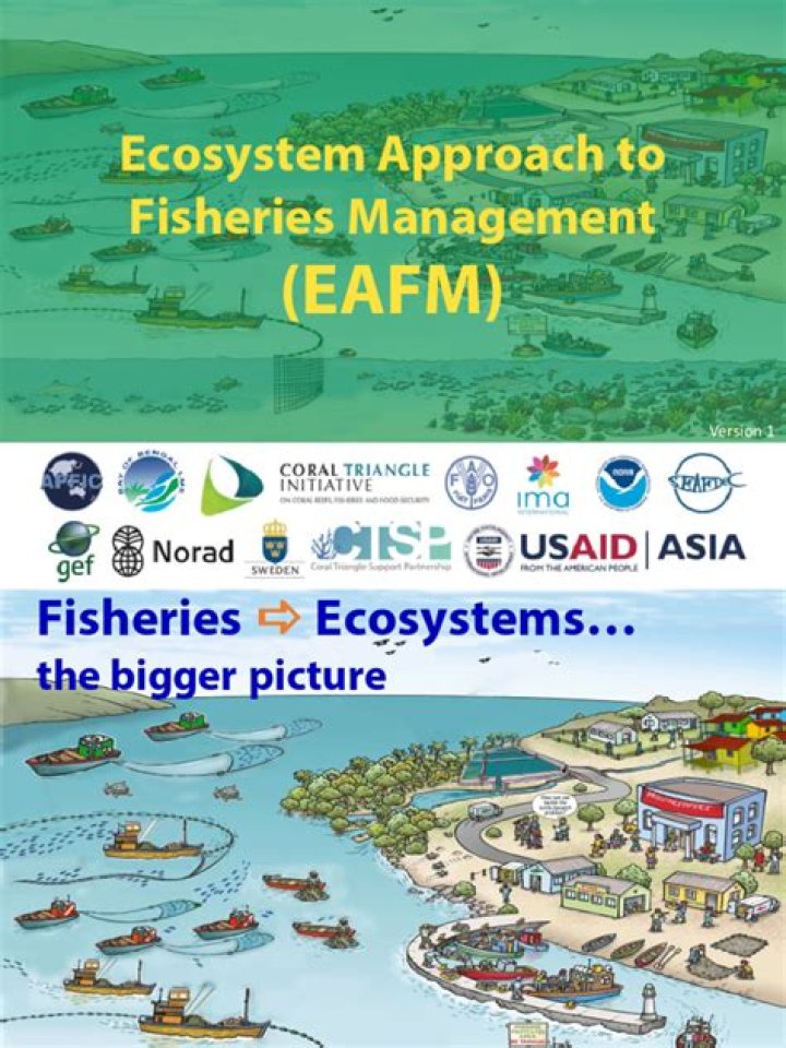 Ecosystem Approach to Fisheries Management: A Comprehensive PDF Guide