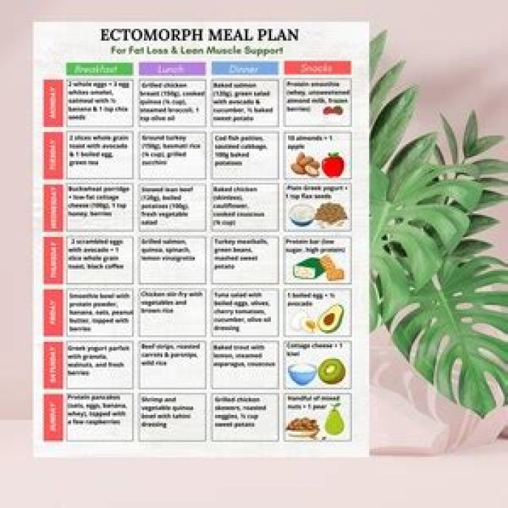 Ectomorph Meal Plan PDF: Build Muscle with High-Calorie Efficient Recipes