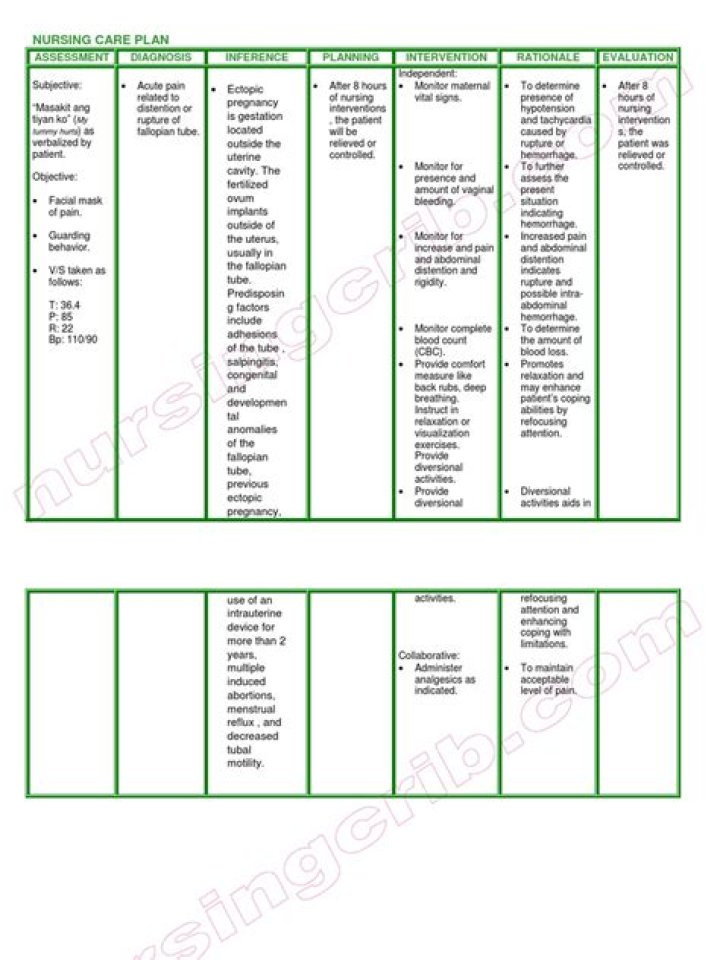 Ectopic Pregnancy Nursing Care Plan PDF – Essential Guidelines & Support