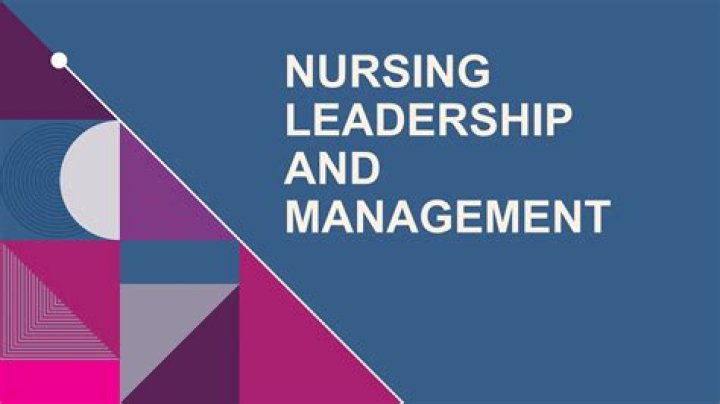 Effective Leadership and Management in Nursing: A Free PDF Guide