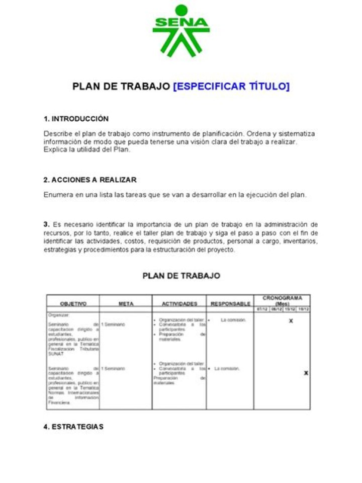 Ejemplo PDF de Plan de Trabajo Empresa Listo para Descargar