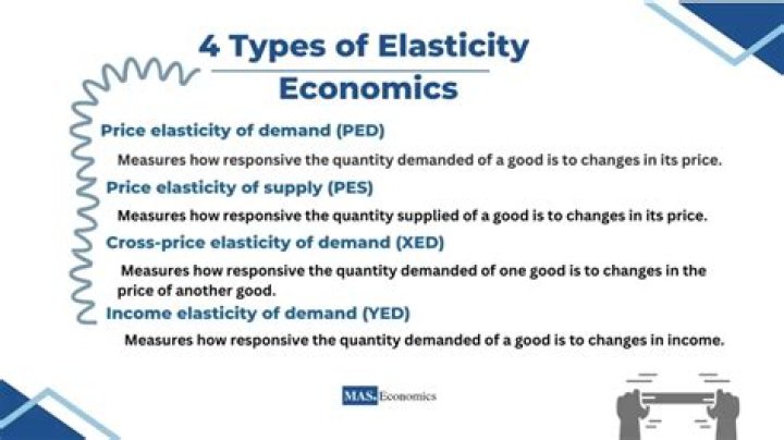 Elasticity of Demand and Supply: Expert Questions & Answers PDF