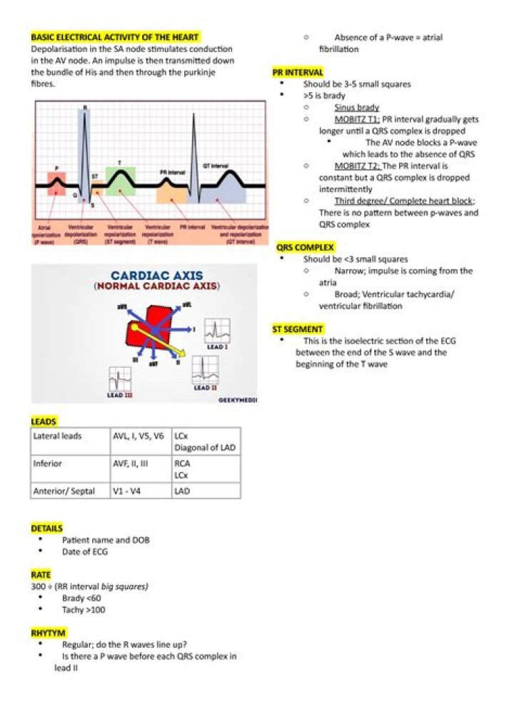 Electrical Activity of the Heart: PDF Answers Explained