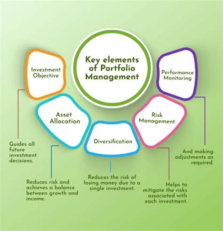 Mastering Portfolio Management: Key Elements Explained in PDF Guide