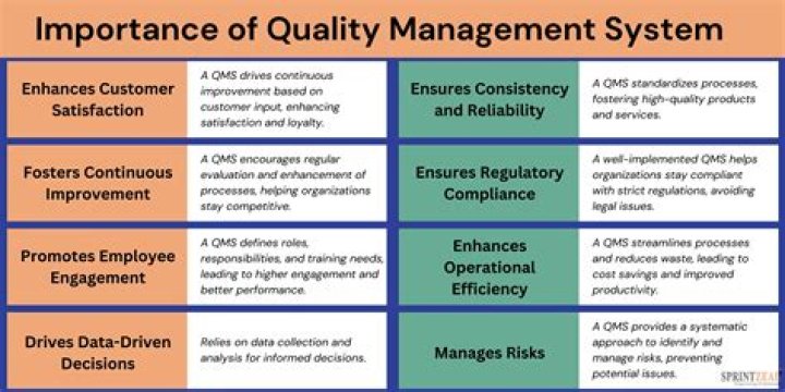 Essential Elements of a Quality Management System PDF Guide