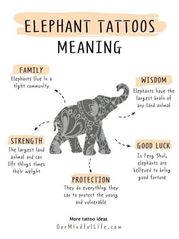 Elephant Tattoo Meanings and Placement Ideas