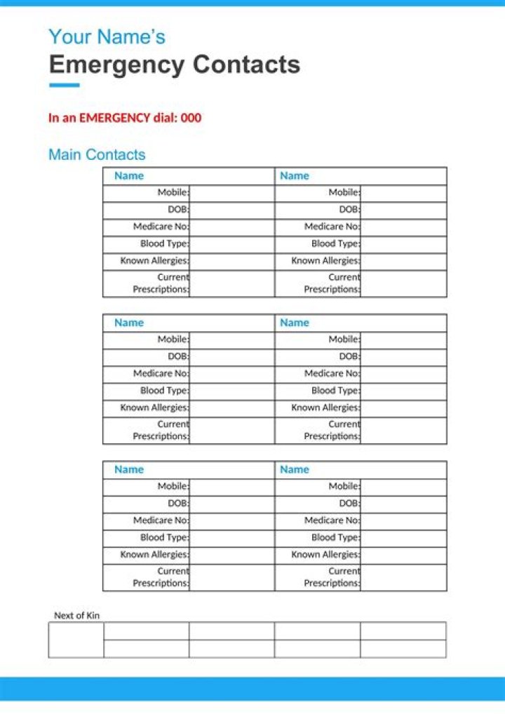 Emergency Contact Sheet PDF – Download Free Template