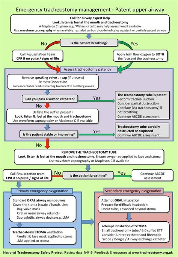 Emergency Tracheostomy Management: Critical PDF Guidelines for Healthcare Providers