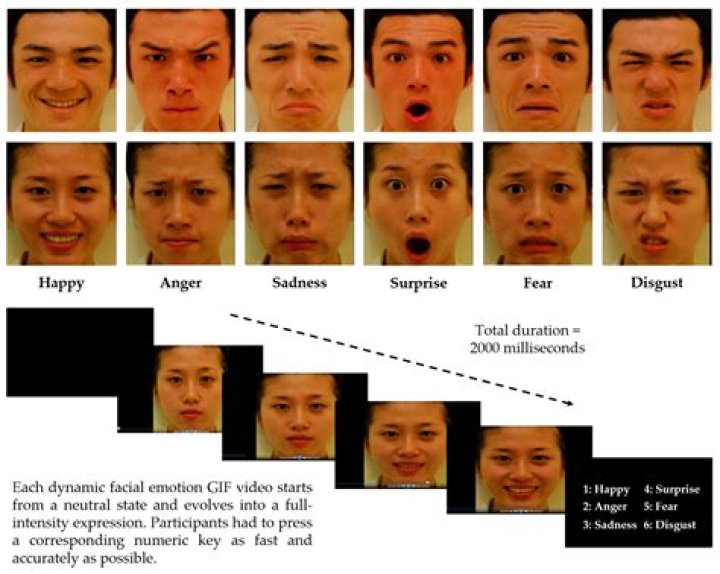 Emotion Recognition Test PDF: Master Emotional Intelligence Today