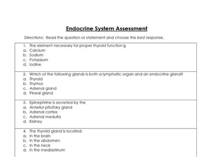 Complete Endocrine Function Test PDF Guide – Accurate Hormonal Analysis