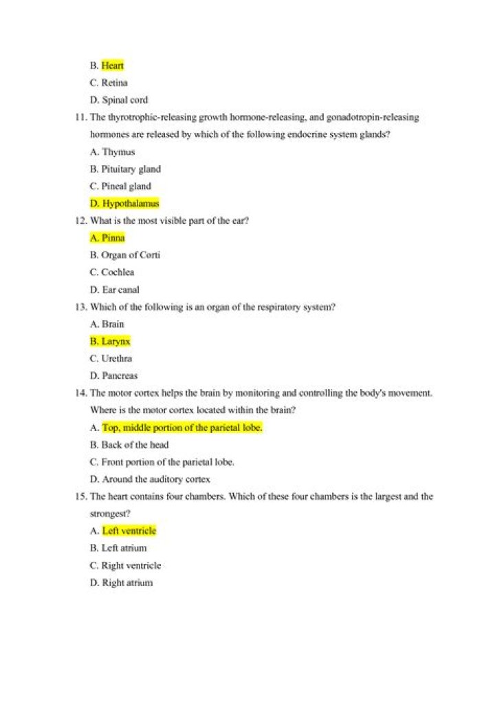 Endocrine Physiology Questions and Answers PDF: Study Guide & Solutions