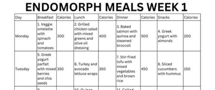 Endomorph Diet Plan PDF Free Download – Effective Weight Gain Guide