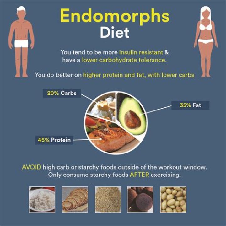 Endomorphs Diet Plan PDF: Your Complete Guide to Effective Weight Management