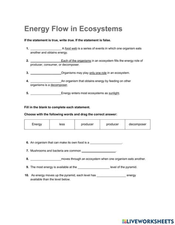 Energy Flow Worksheet PDF – Master Your Energy Balance Today