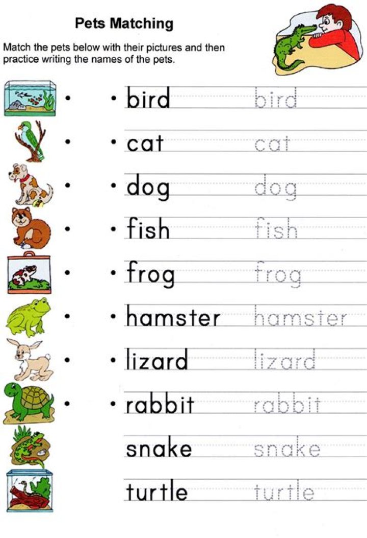 English for Beginners: Free PDF Worksheets for Effective Learning