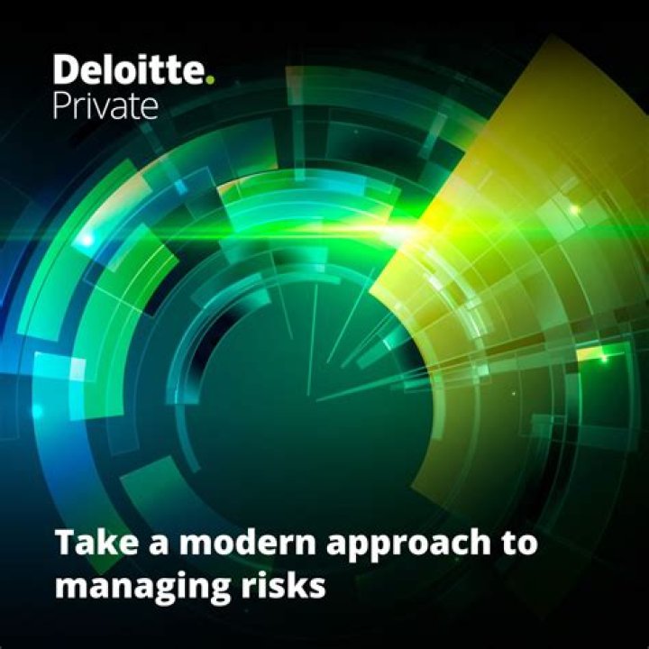 Enterprise Risk Management: Key Insights from Deloitte in PDF