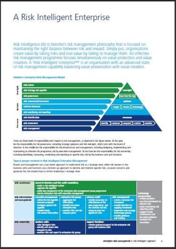 Free Enterprise Risk Management PDF – Instant Download