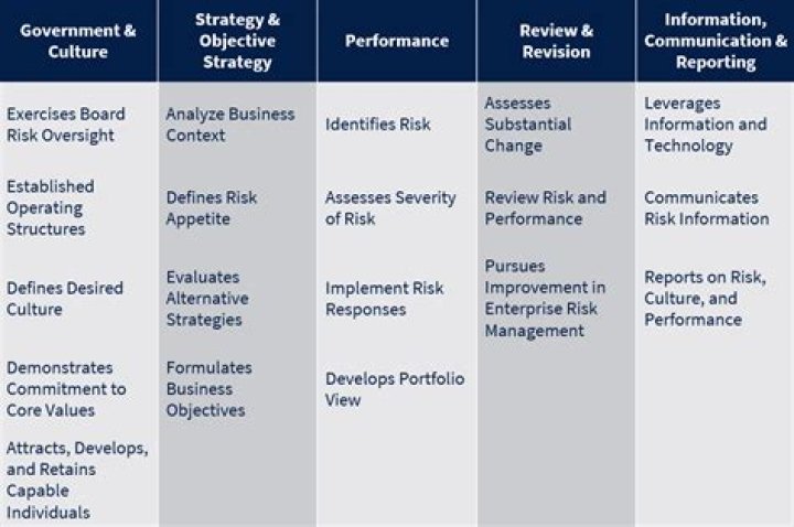 Comprehensive Enterprise Risk Management PDF Guide