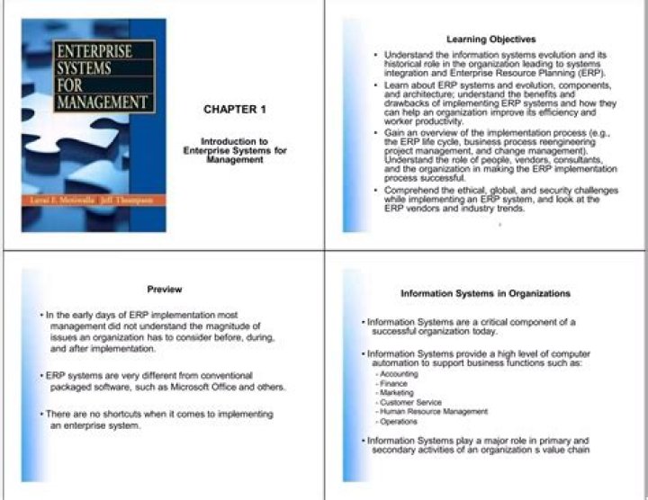 Essential Enterprise Systems for Management: Free PDF Guide