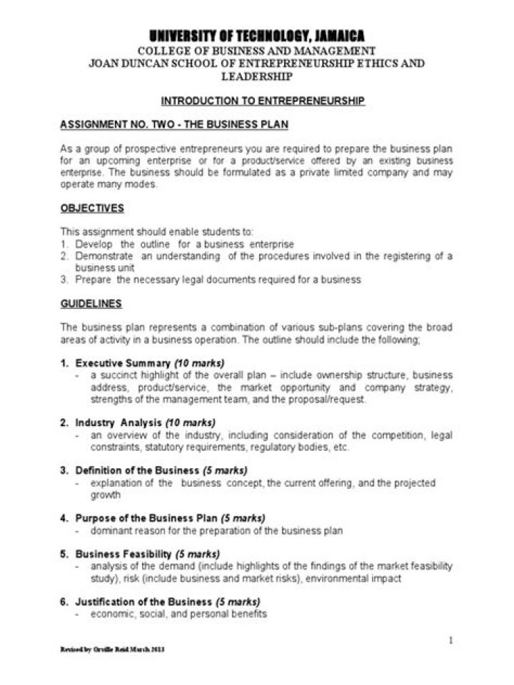 Essential Entrepreneurship Business Plan Assignment PDF Guide