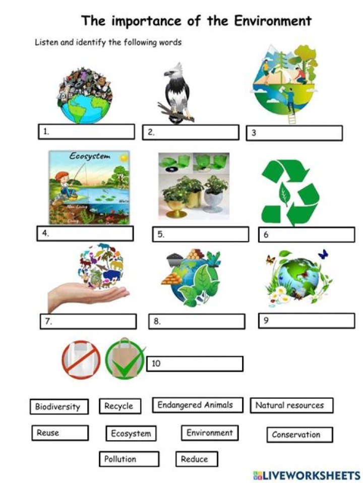 Environment Worksheet PDF – Free Printable Learning Tools