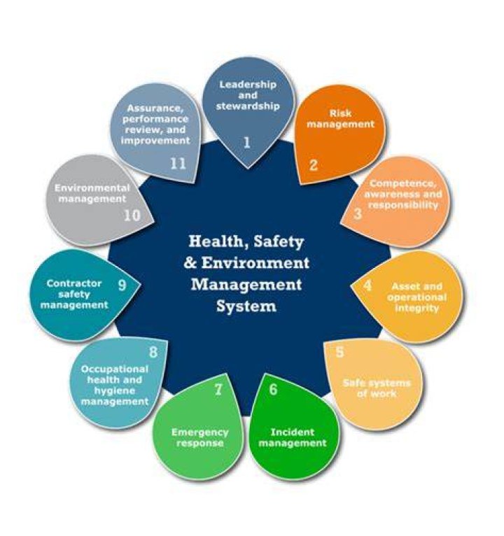 Essential Environmental Health and Safety Management PDF Guide