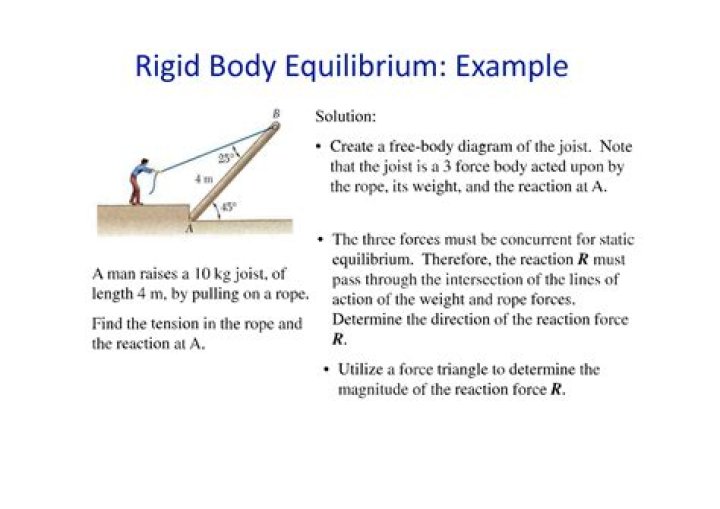 Equilibrium of Rigid Bodies: Questions & Answers PDF Guide