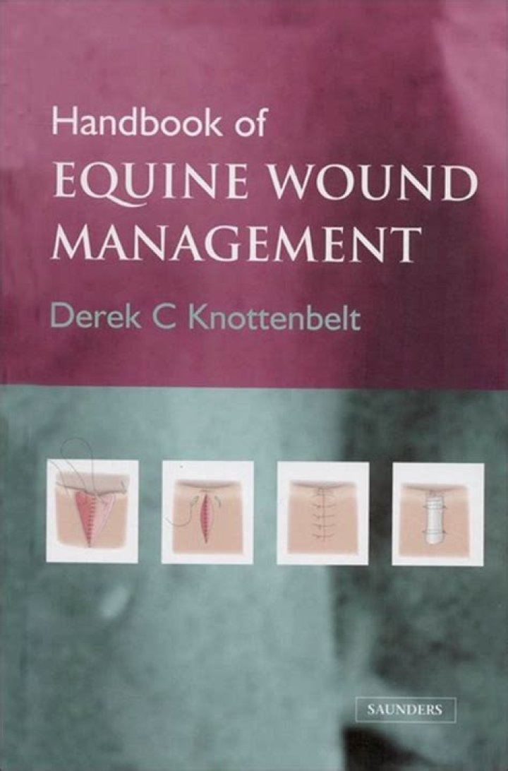 Equine Wound Management PDF: Essential Care Guide for Horse Owners