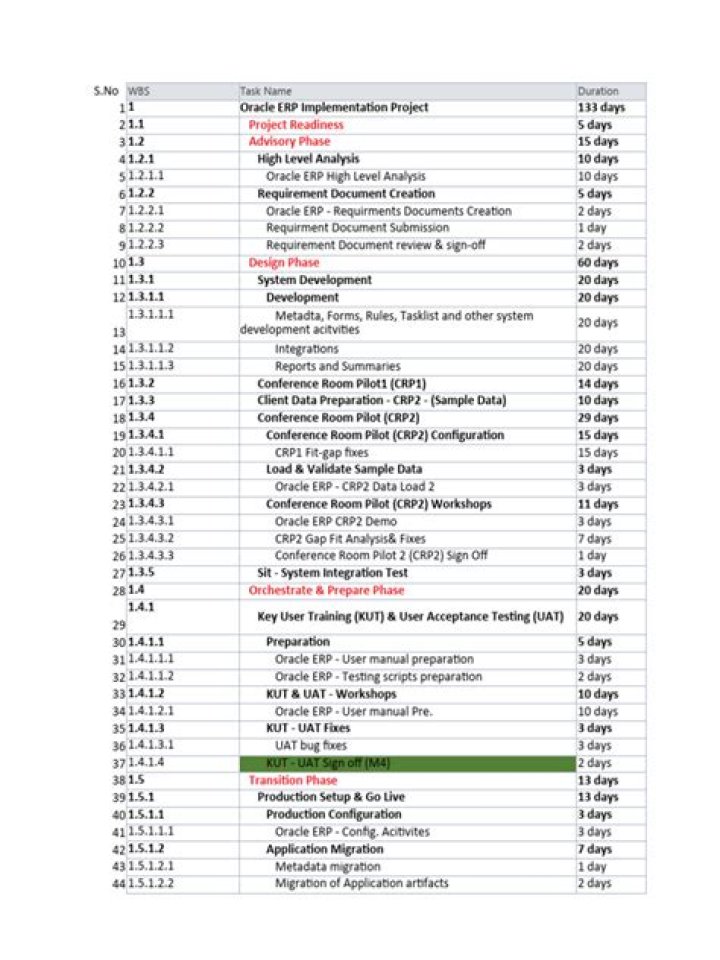 Comprehensive ERP Implementation Project Plan PDF for Successful Deployment