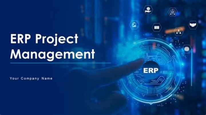 Master ERP Project Management with This Essential PDF Guide