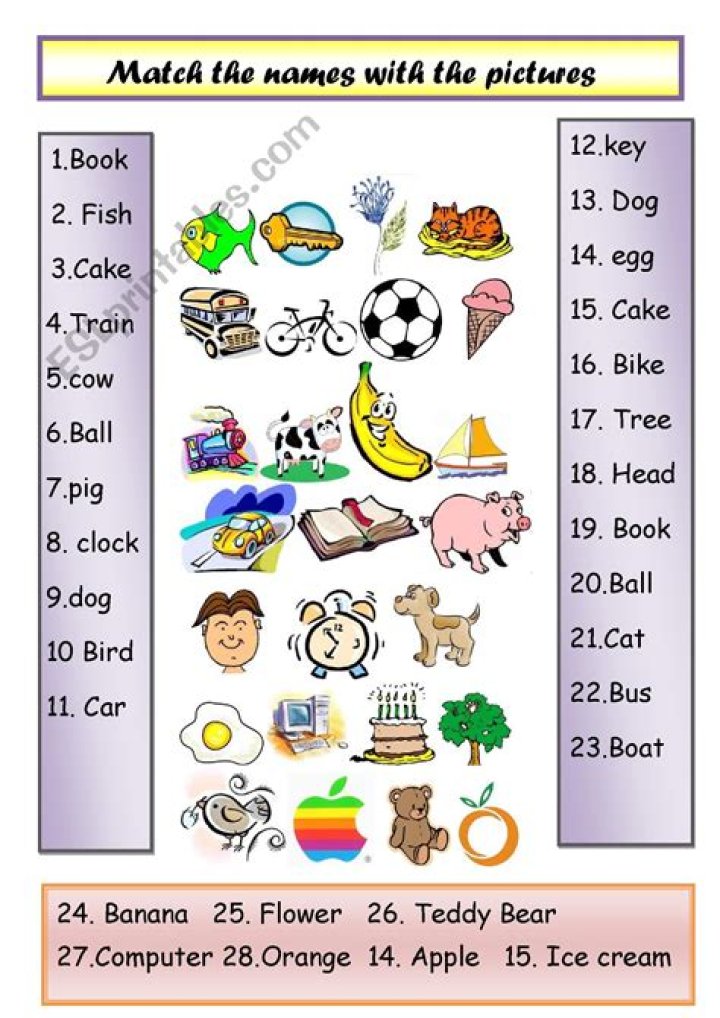 Free ESL Beginner Vocabulary Worksheets PDF for Easy Learning