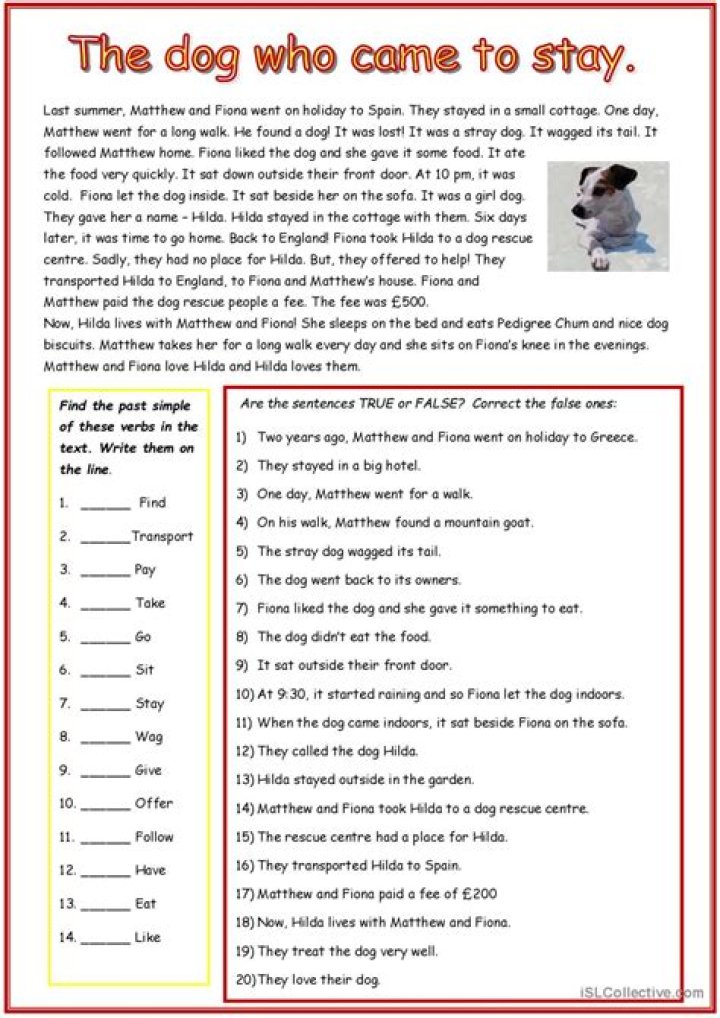 ESL Intermediate Reading Comprehension Worksheets PDF – Download Now