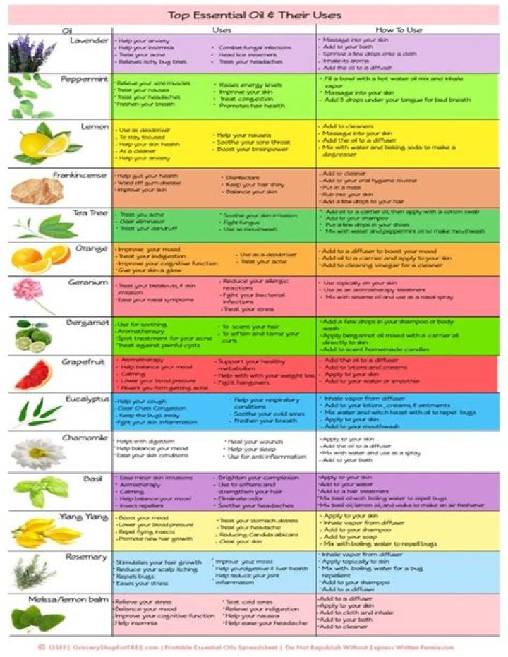 Essential Oil List & Their Uses: Essential Oil PDF Guide