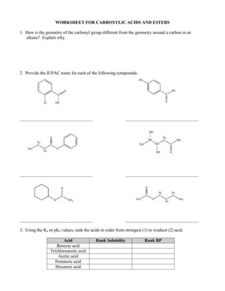 Esters Questions and Answers PDF: Expert Guide