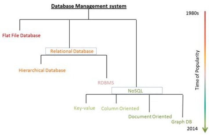 The Evolution of Database Management Systems: A Comprehensive PDF Guide